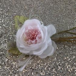 Rosa bianca 1